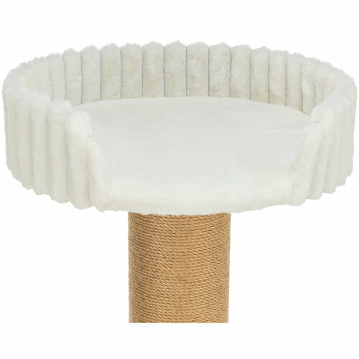 V3H7BD74B9EEC35538D480CB9F33B00FFA2R7449446P10