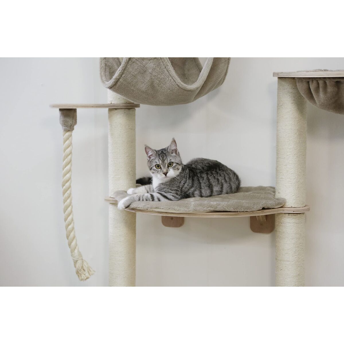 V2HE972BB0EA7EA0600CAEDA89D959EC2C7R7479782P5