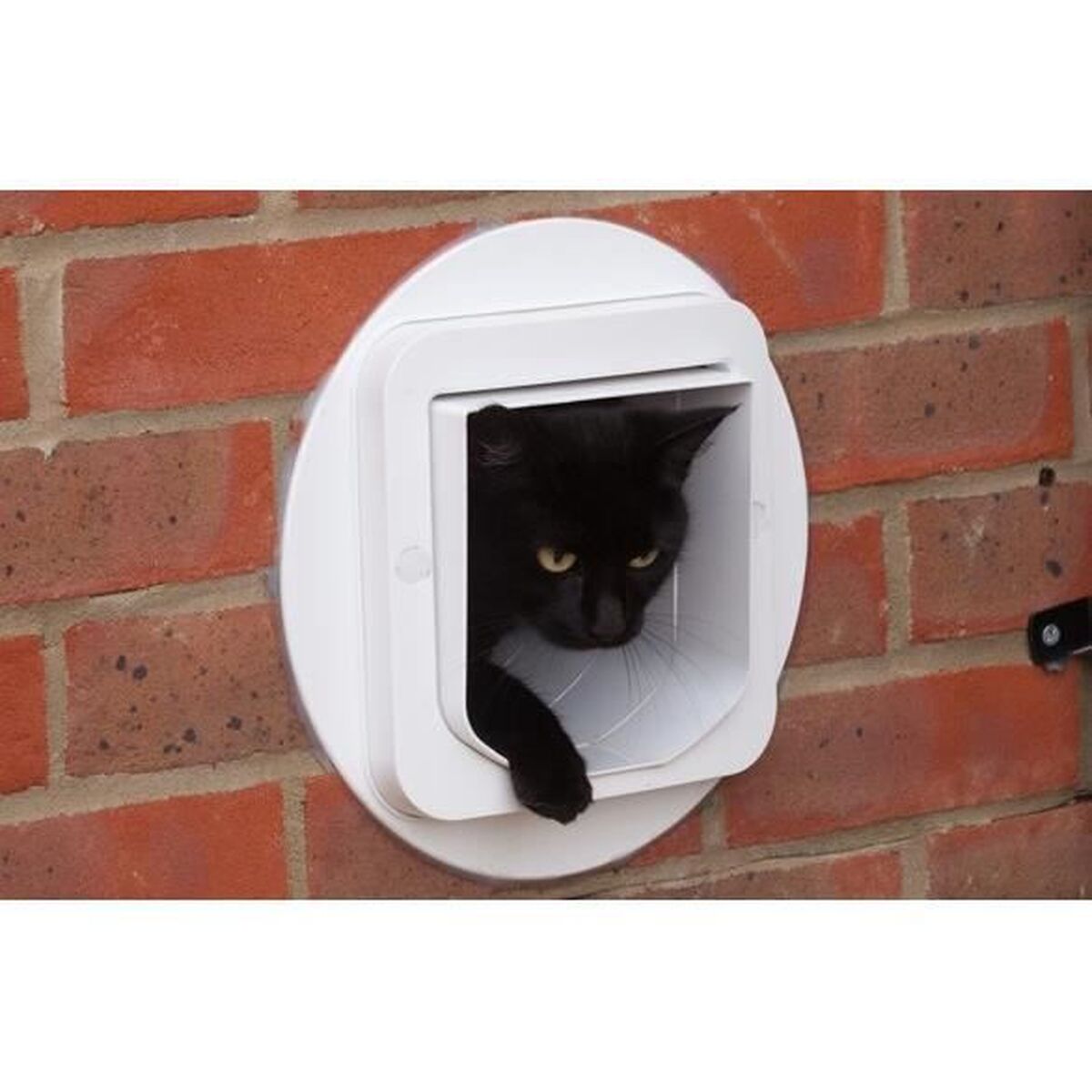 V10H07A723A9A58F60B09DA05E411A6A8711R7391567P4