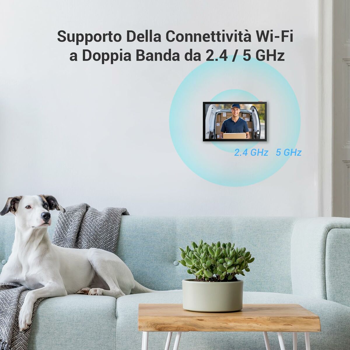 V3H80D17E525D12FD28227486EB0431E667R7292016P10