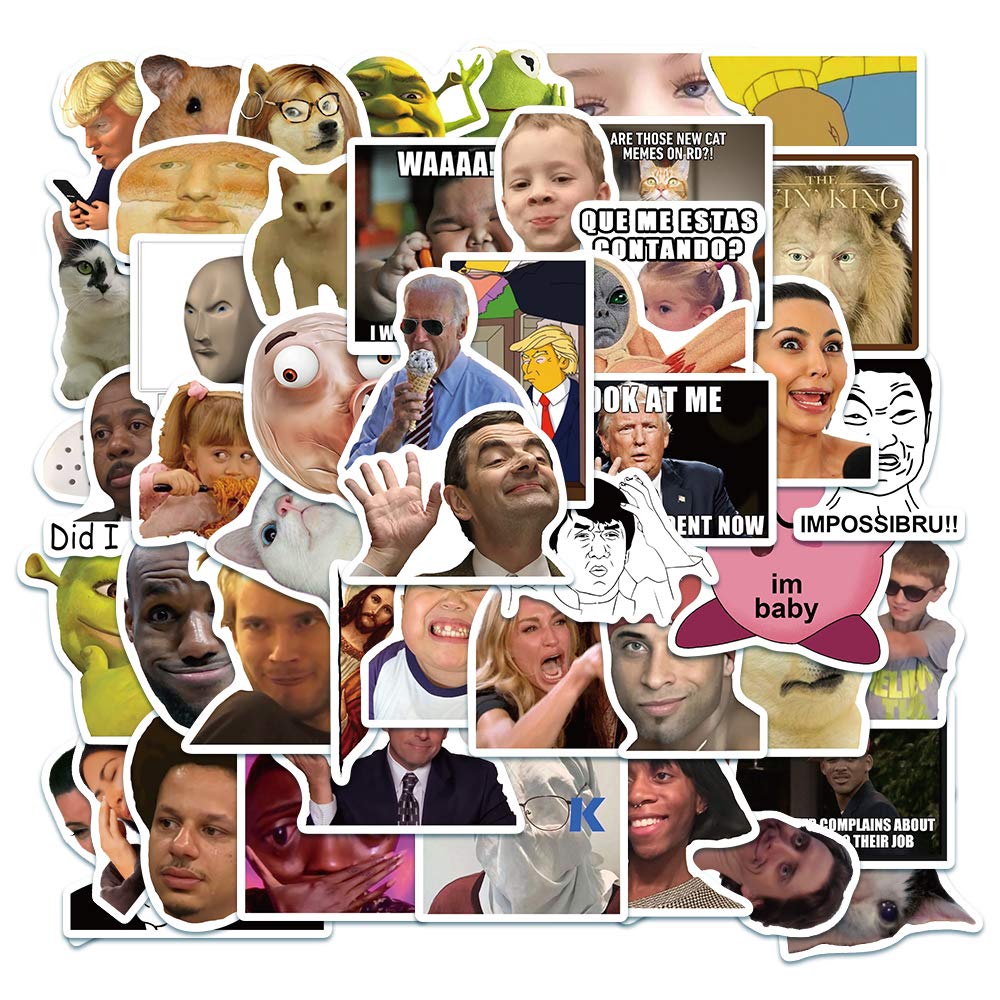 StarFashion 100 lustige Meme-Aufkleber – wasserfeste Vinyl-Aufkleber für Trinkflaschen, Laptops, Skateboards, Wasserflaschen, Computer und Handys