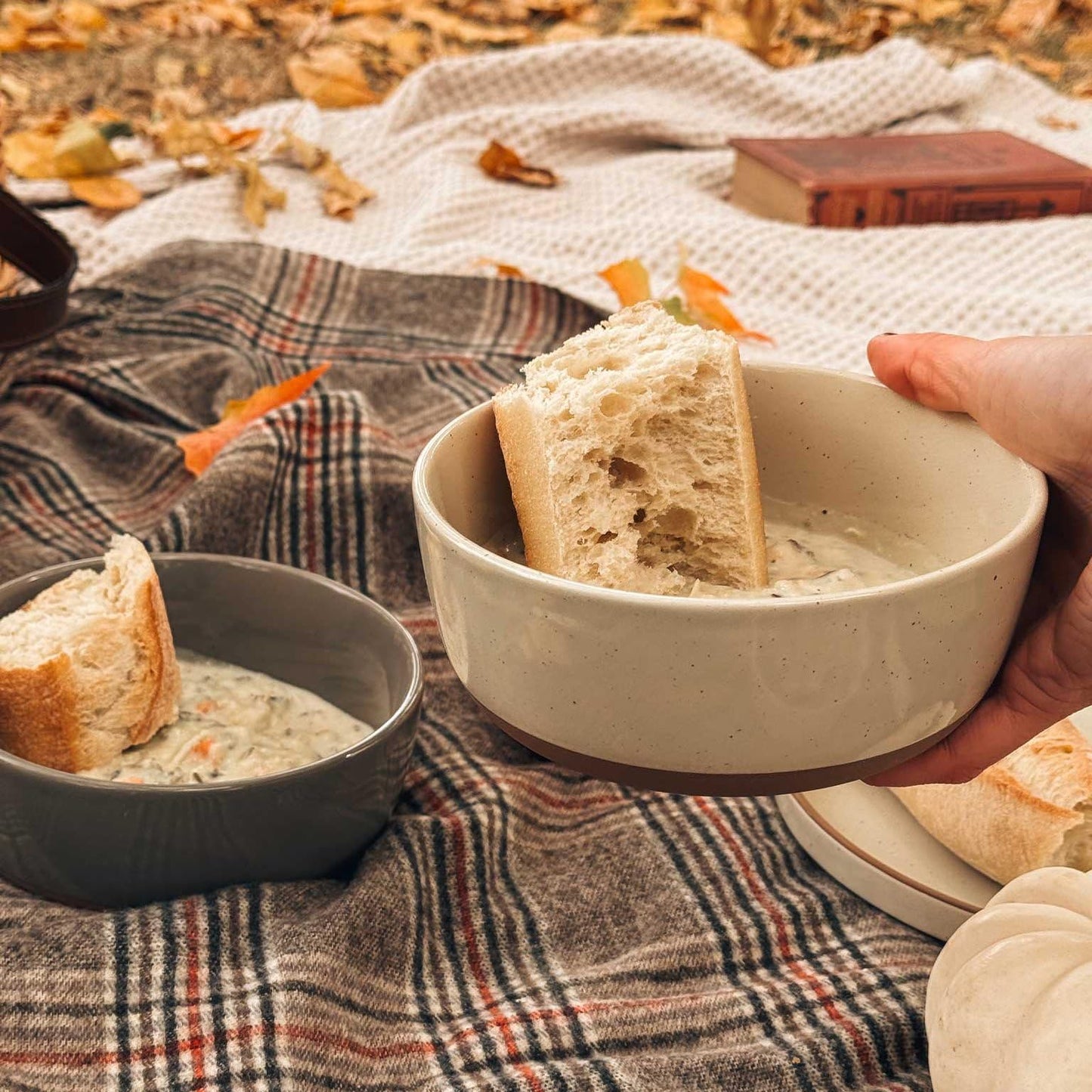 Set mit 4 Porzellanschüsseln, 740 ml - Mikrowellen-, spülmaschinen- und ofenfest für Suppe, Müsli usw.
