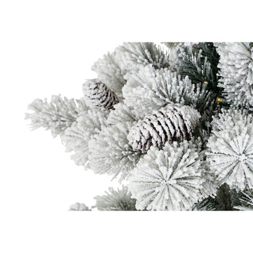 V7HB369897538A34EA7EB2A0E97E6B5BA67R7364715P2