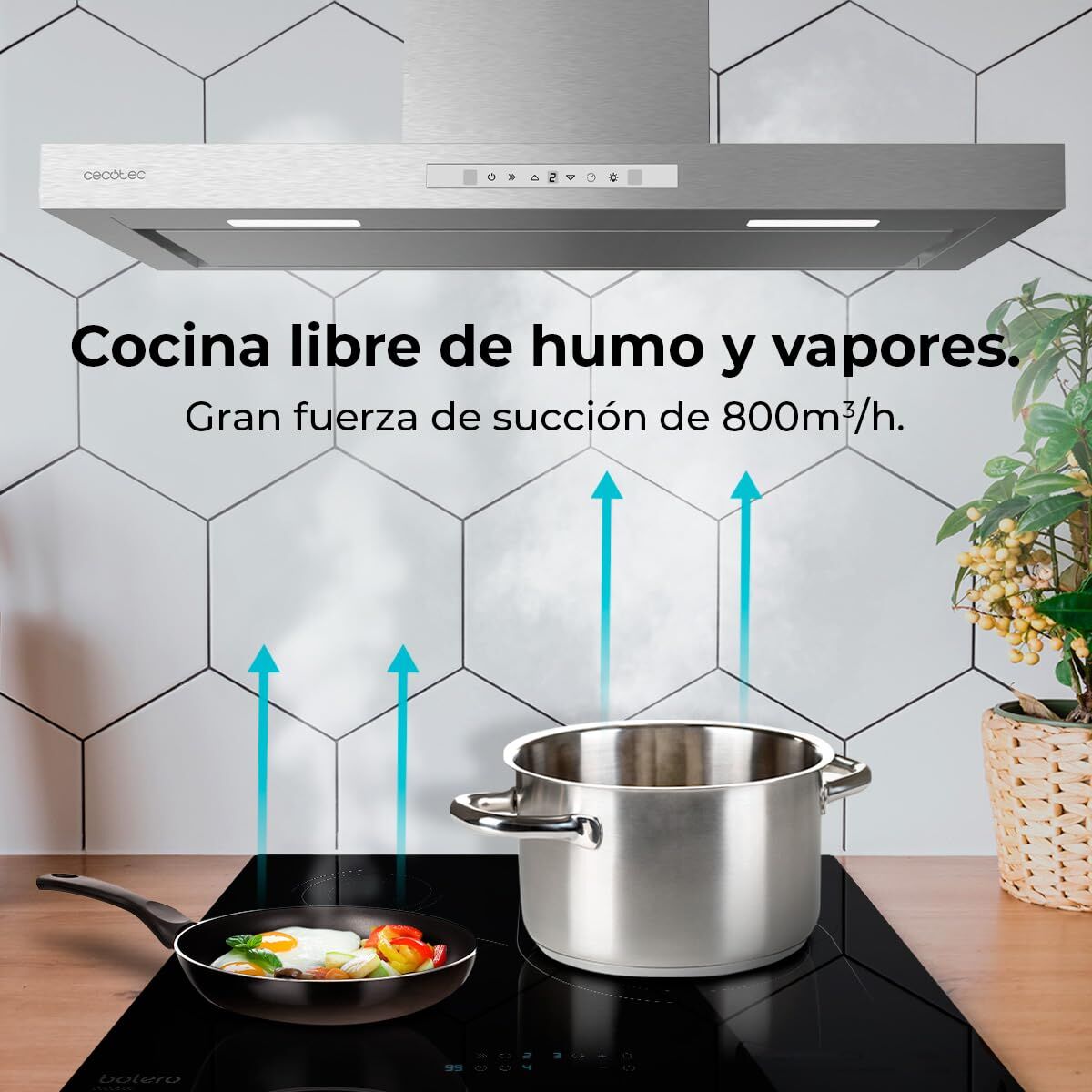 V2HDA5F5558FC3CBF5D0FCF24EA77AA3929R7525491P10