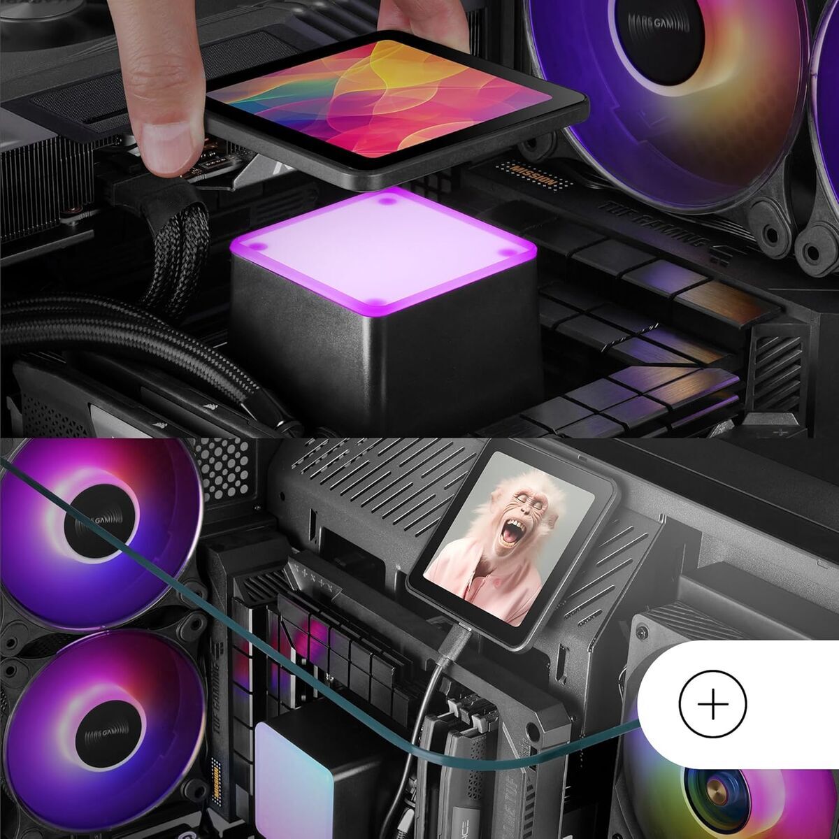 V4H88D29EB1F662EC27B7B8EF6538F622BFR7200028P6