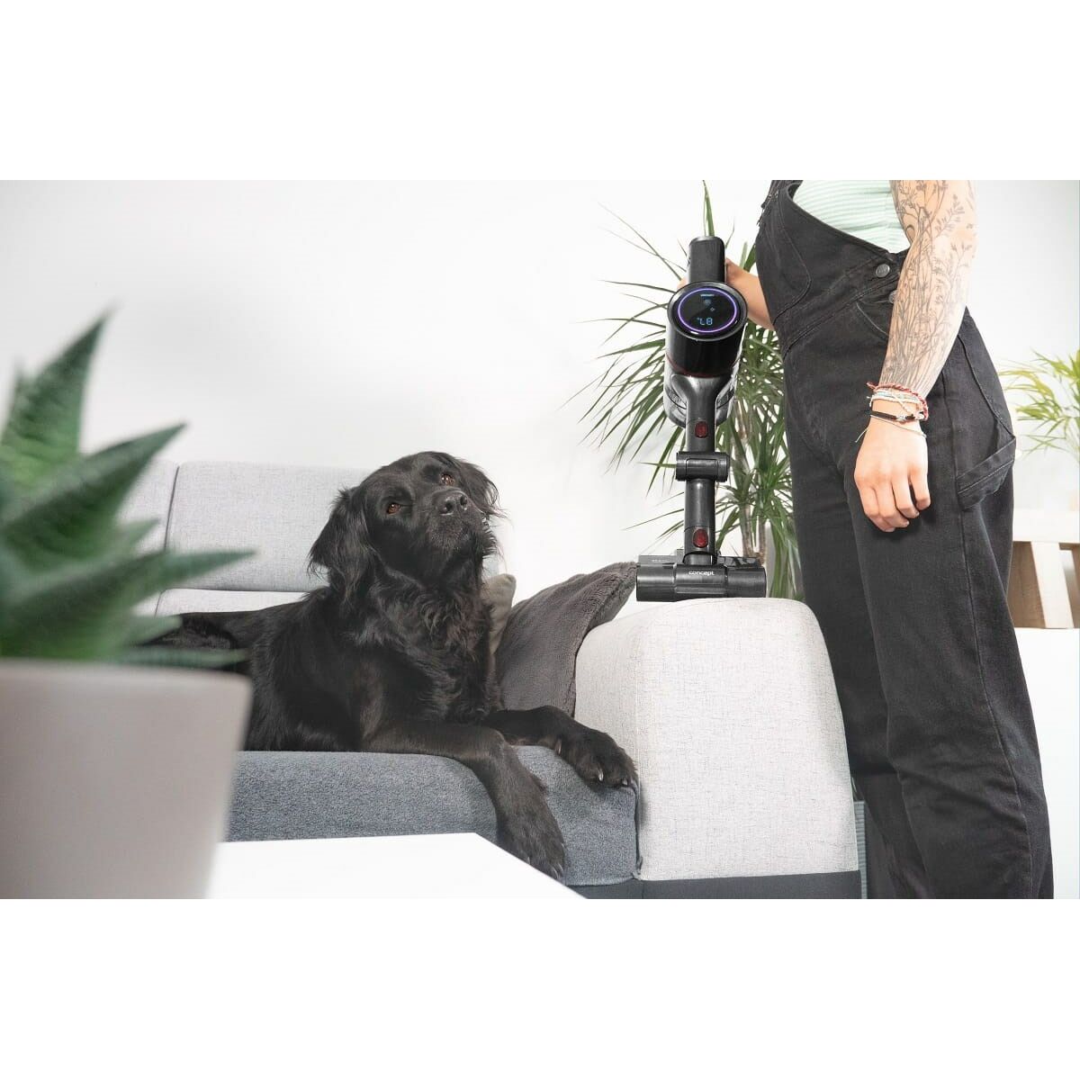 V5H36A8722544F389425B6037B3BC2D3B93R6413095P9