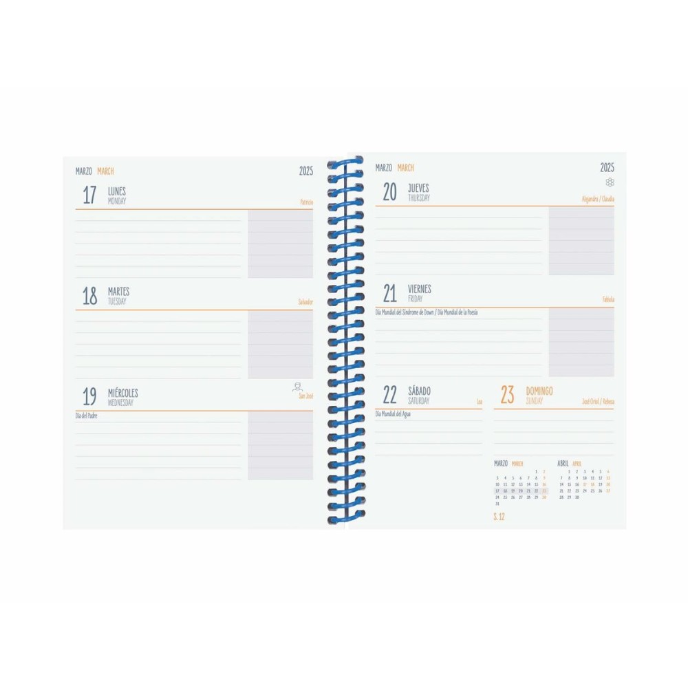 Agenda Finocam DIVA Noir 1/8 12 x 16,4 cm 2024-2025