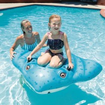 Inflatable Float Intex 145 x 185 cm (6 Units)