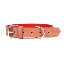 Hundehalsband Gloria Oasis Rot 40 cm (1,5 x 40 cm)