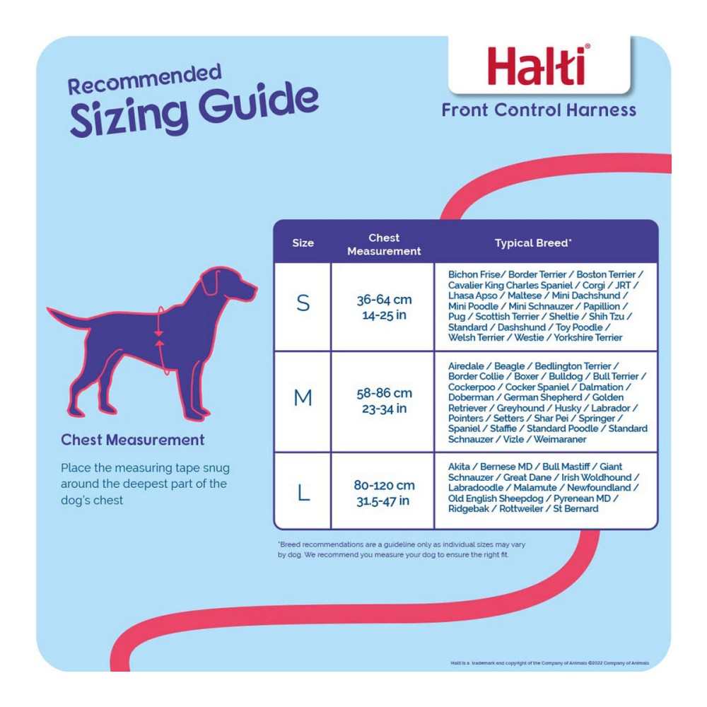 Hundegeschirr Company of Animals Halti Schwarz/Rot S (36-64 cm)