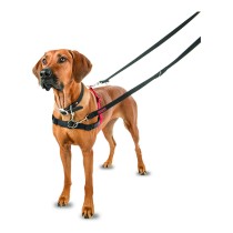 Hundegeschirr Company of Animals Halti Schwarz/Rot L (80-120 cm)