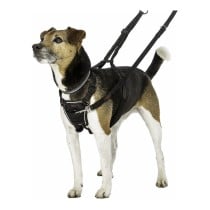 Harnais pour Chien Company of Animals Halti Taille S (26-36 cm)