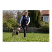 Harnais pour Chien Company of Animals Halti Taille S (26-36 cm)