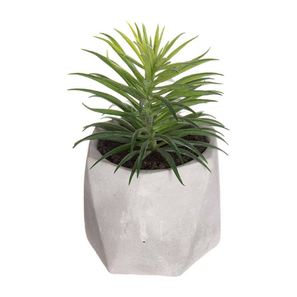 Plante décorative Atmosphera 7 x 14 cm Vert PVC