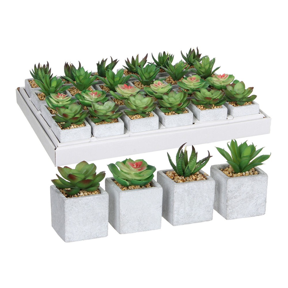 Plante décorative Mica Decorations 8 x 5 cm Vert PVC Succulent