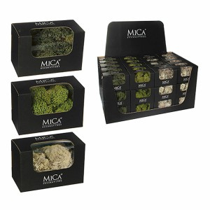 Plante décorative Mica Decorations 50 g Mousse