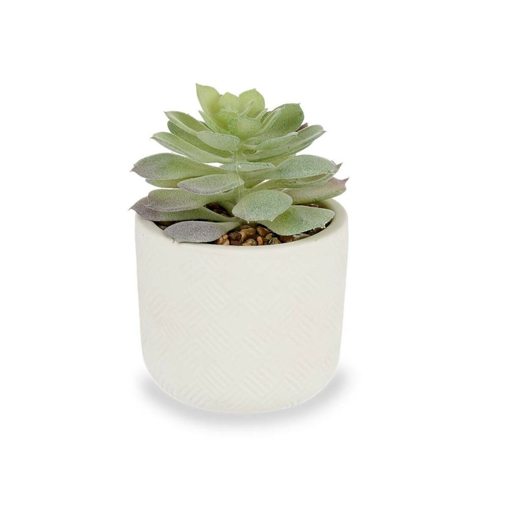 Plante décorative Ibergarden QY-H037 Plastique Succulent 14 x 13,5 x 14 cm (12 Unités)