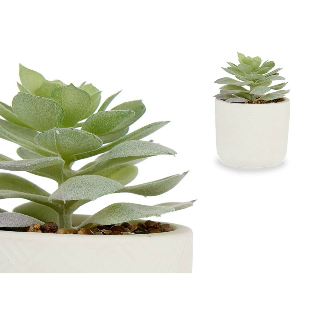 Decorative Plant Ibergarden QY-H037 Plastic Succulent 14 x 13,5 x 14 cm (12 Units)