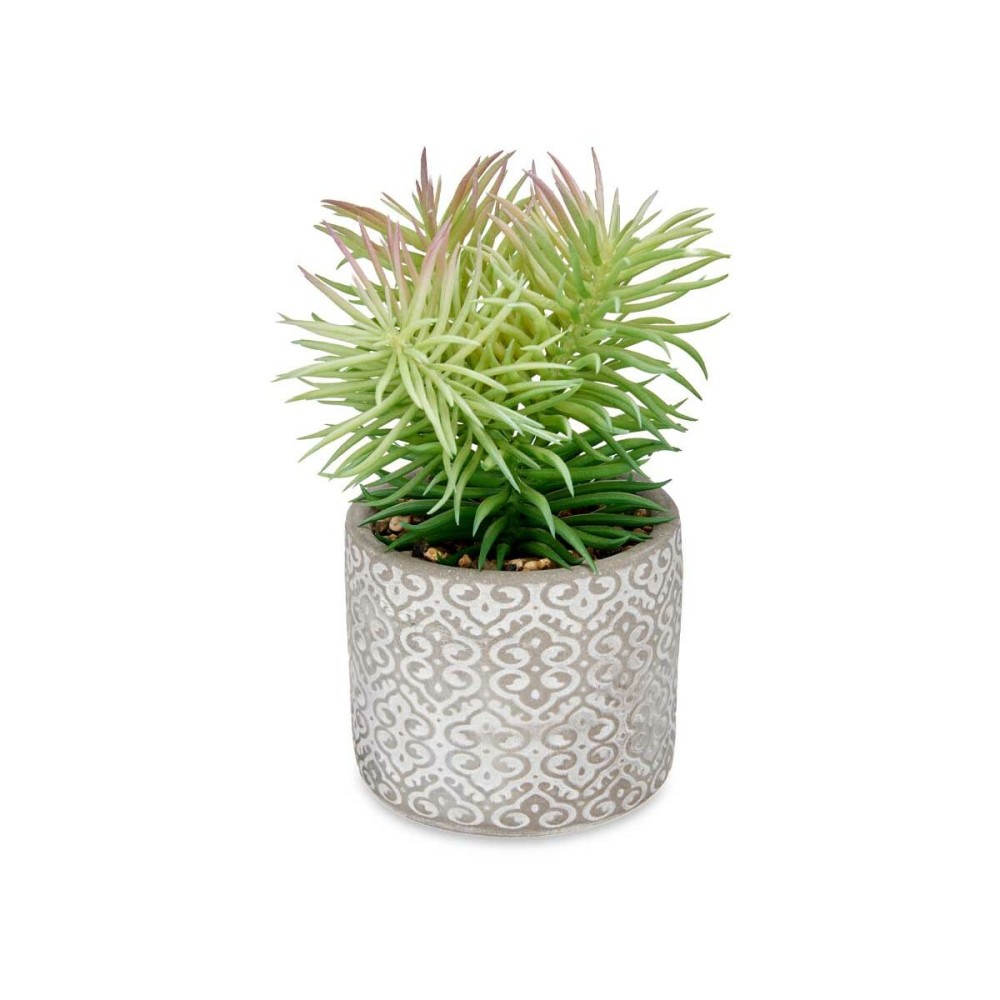 Plante décorative Ibergarden QY-H011 Bois Plastique Ciment Succulent 12 x 22 x 12 cm (8 Unités)