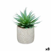 Plante décorative Succulent Bois Plastique 17 x 21 x 17 cm (8 Unités)