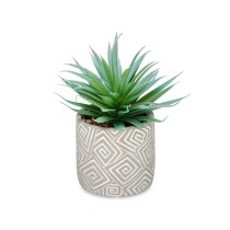 Plante décorative Ibergarden QY-H012 Bois Plastique Ciment Succulent 17 x 21 x 17 cm (8 Unités)