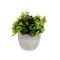 Plante décorative Fleurs Plastique 20 x 20,5 x 20 cm (8 Unités)