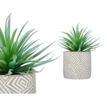 Decorative Plant Succulent Wood Plastic 17 x 21 x 17 cm (8 Units)