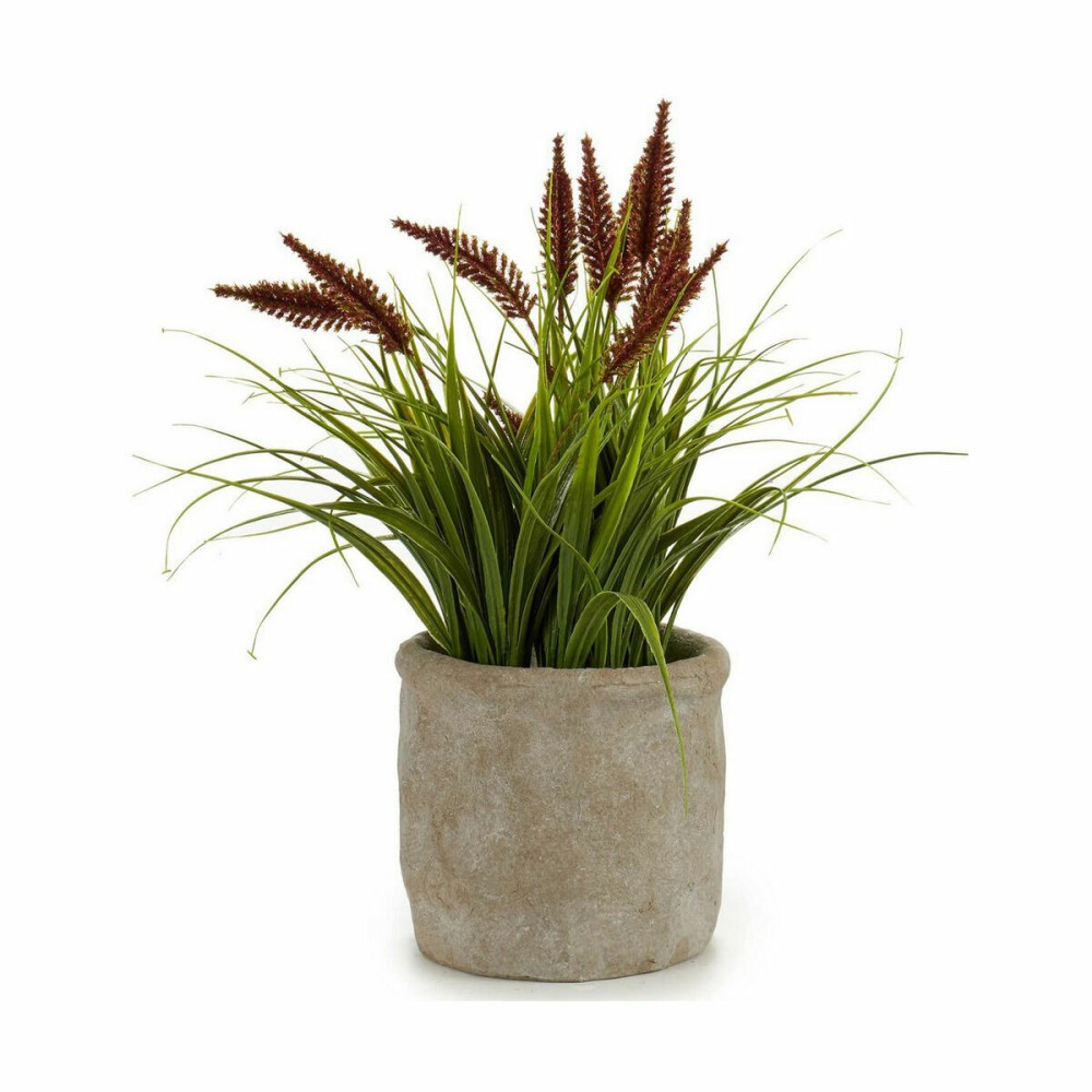 Decorative Plant Ibergarden XD171059 Plastic Ear (of wheat) 12 x 30 x 12 cm (8 Units)