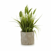 Decorative Plant Ibergarden XD171059 Plastic Ear (of wheat) 12 x 30 x 12 cm (8 Units)