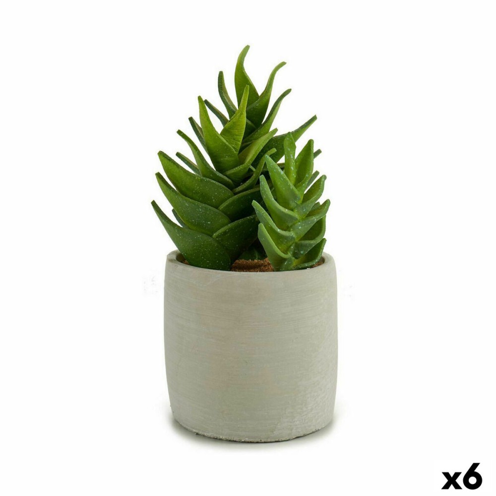 Plante décorative Succulent Plastique 12 x 24 x 12 cm (6 Unités)