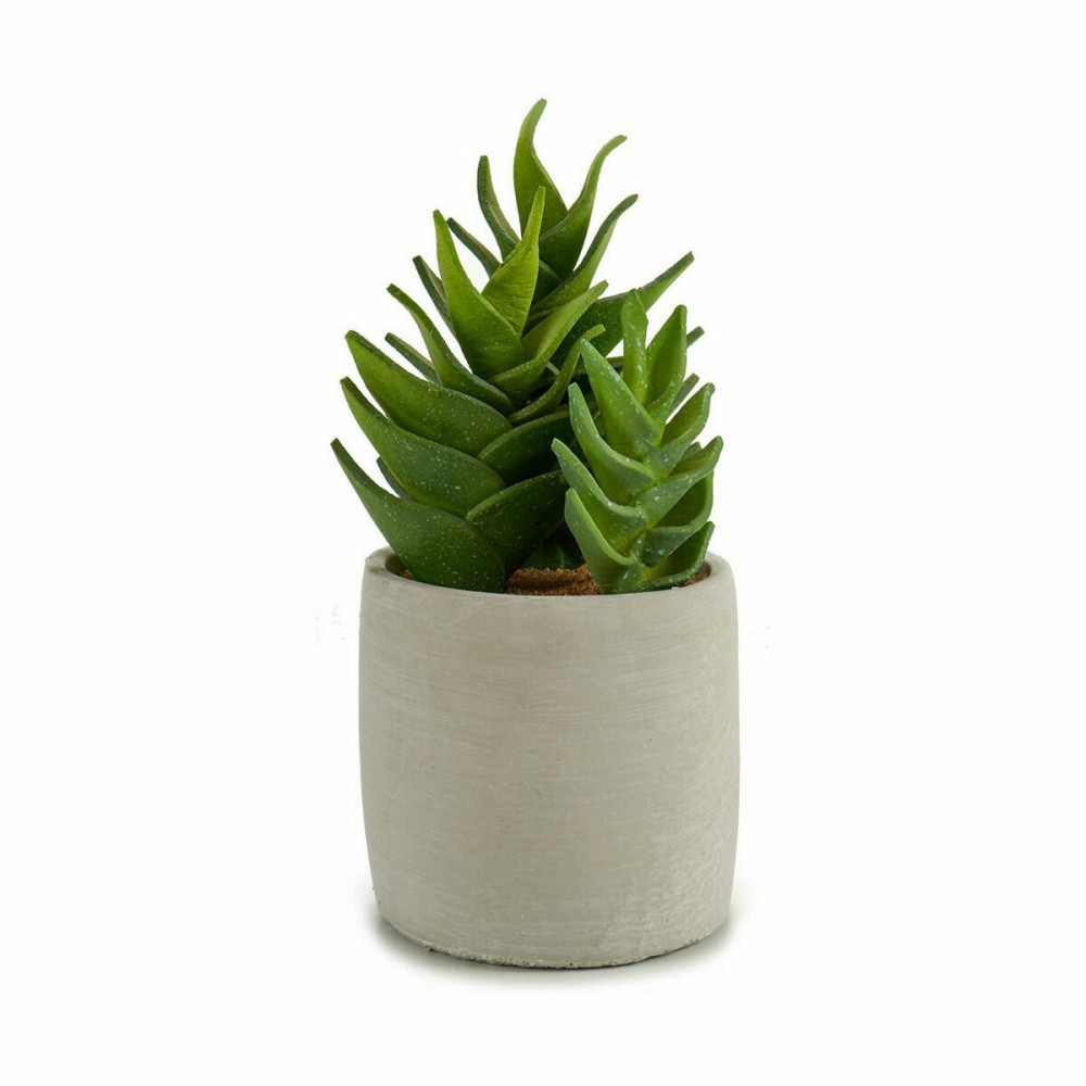 Decorative Plant Ibergarden YCX17941 Plastic Succulent 12 x 24 x 12 cm (6 Units)