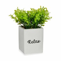 Plante décorative Ibergarden HY2-39 Plastique Ciment Volets Petit 13 x 18 x 13 cm (6 Unités)