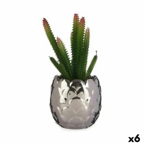 Plante décorative Ibergarden HY2-44 Céramique Plastique Cactus 10 x 20 x 10 cm (6 Unités)