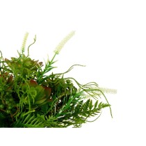 Plante décorative Ibergarden XD19-1369 Plastique Verre 21 x 30 x 21 cm (6 Unités)