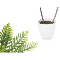 Plante décorative Palmier Plastique 36 x 55,5 x 24 cm (6 Unités)