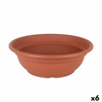 Blumentopf Dem Greentime kreisförmig Schale Braun ø 50 x 6,8 cm (6 Stück)