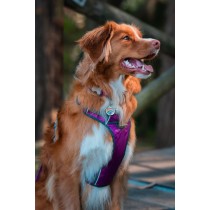 Dog Harness Red Dingo Dingo 62-108 cm 72-112 cm Purple XL