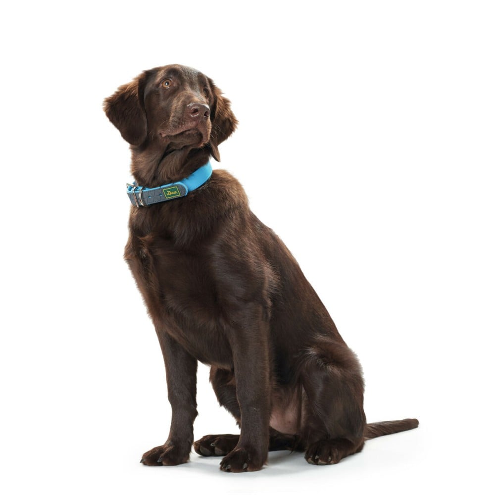 Collier pour Chien Hunter Convenience 53-61 cm L/XL Turquoise