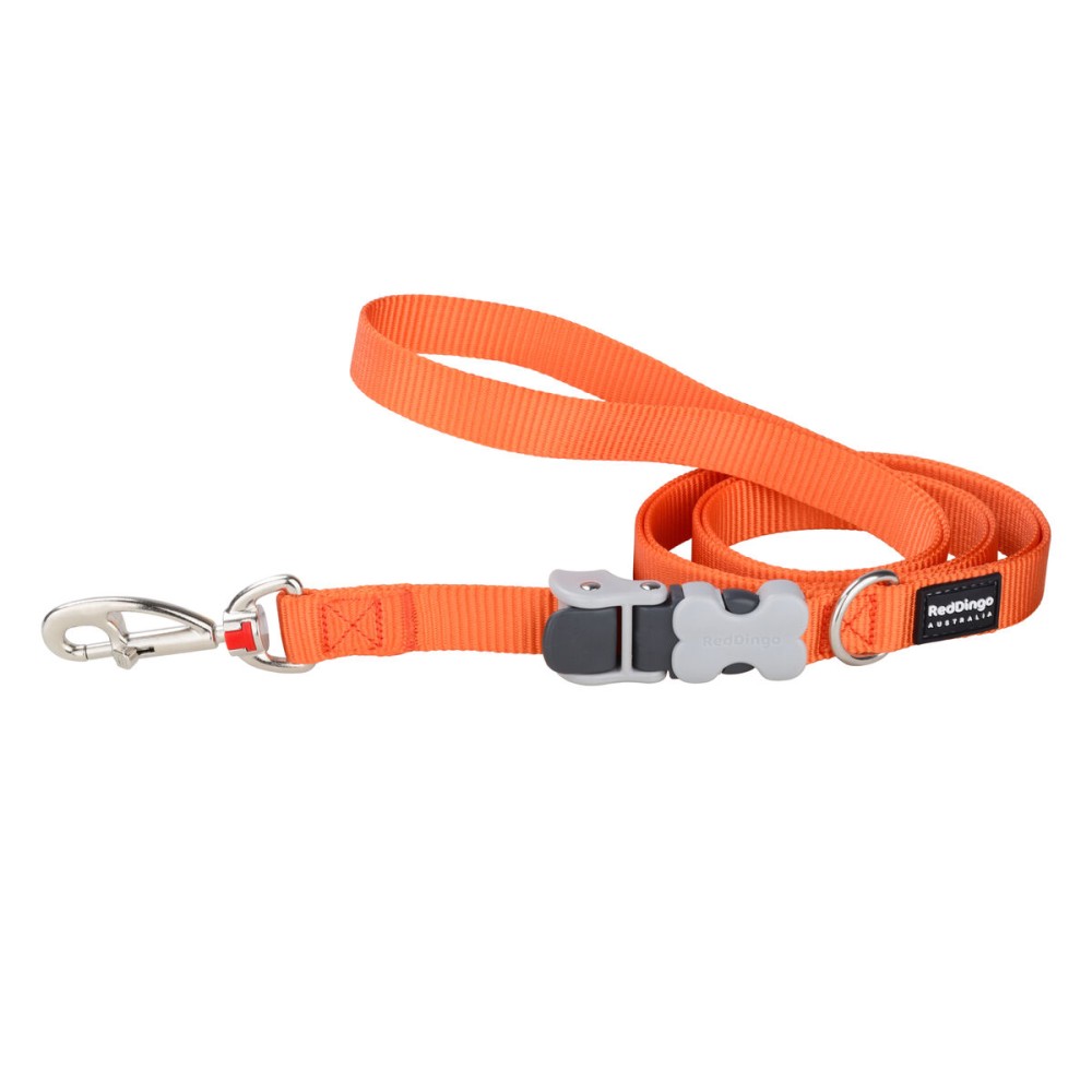 Laisse pour Chien Red Dingo Orange