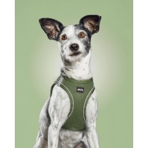 Harnais pour Chien Gloria 24,5-26 cm Vert 18-20 cm