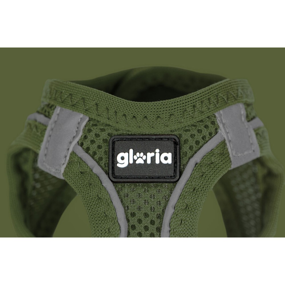 Harnais pour Chien Gloria 24,5-26 cm Vert 18-20 cm