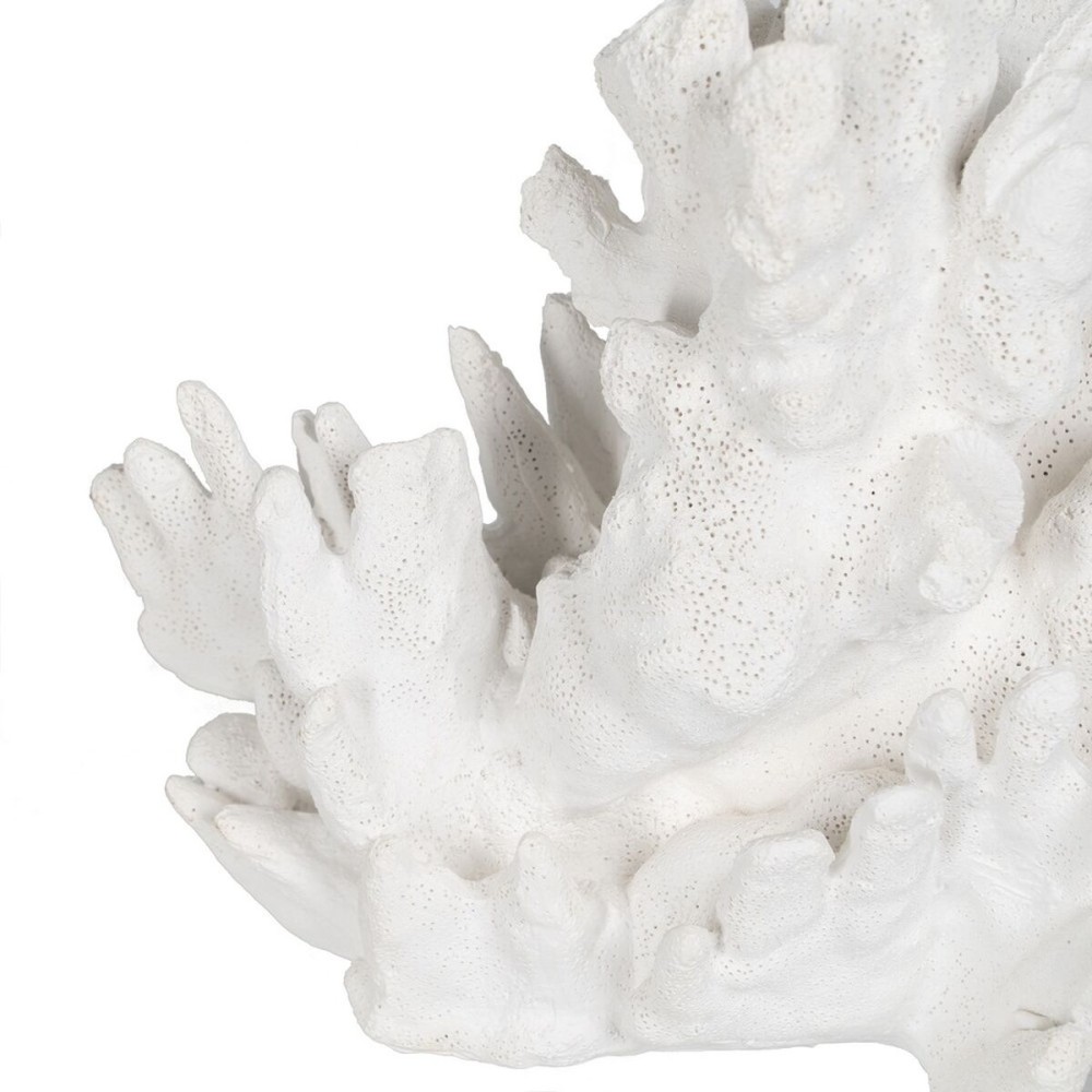 Decorative Figure White Coral 29 x 20 x 21 cm