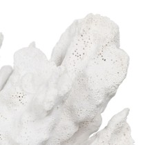 Decorative Figure White Coral 29 x 20 x 21 cm