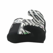 Car Chair Nania Zebra