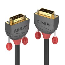 DVI-Kabel LINDY 36241 Schwarz