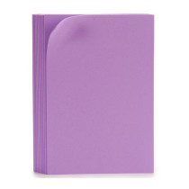 Feuille de Mousse Violet 30 x 2 x 20 cm (24 Unités)