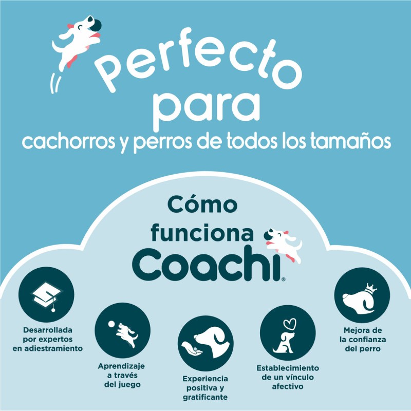 Pfeife Coachi