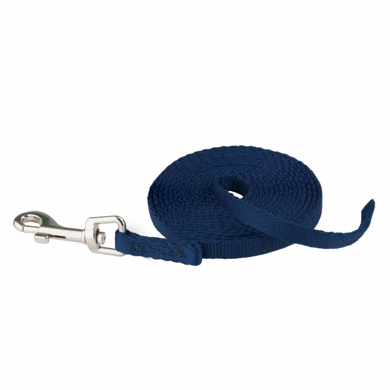 Dog Lead Coachi Blue 2,5 m Training