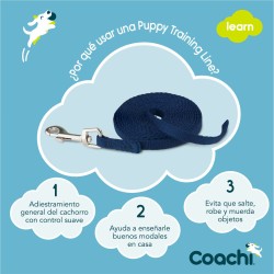 Laisse pour Chien Coachi Bleu 2,5 m Formation