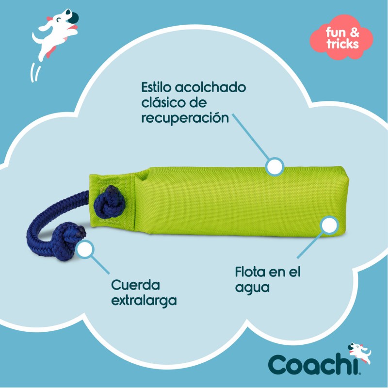 Training toy Coachi